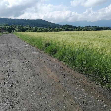 Domki Sowi Kamien Lomnica  Esterno foto