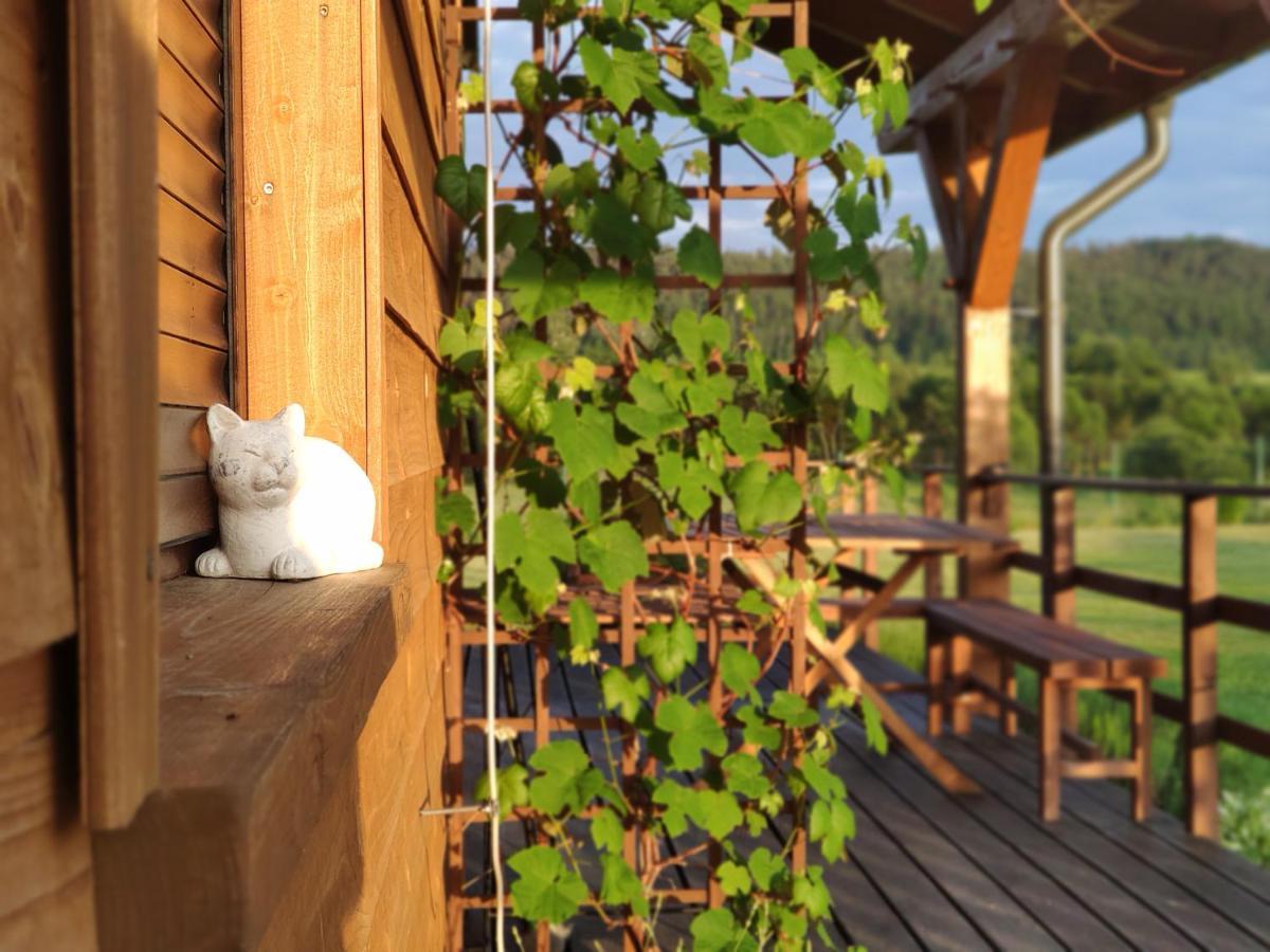 Domki Sowi Kamien Lomnica  Esterno foto