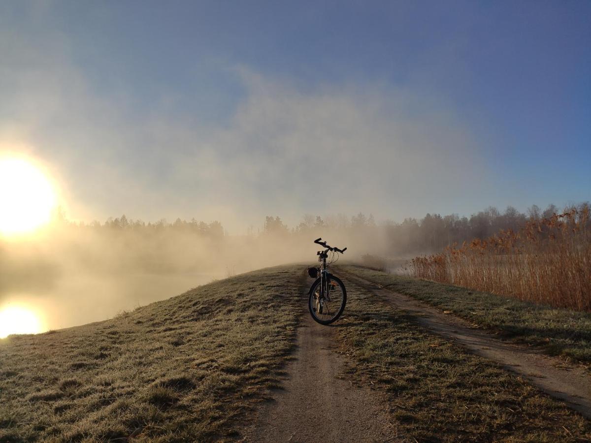 Domki Sowi Kamien Lomnica  Esterno foto