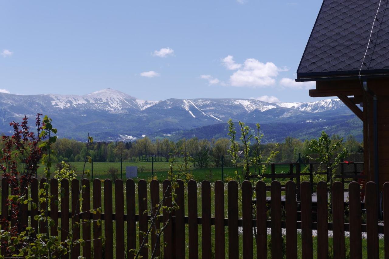 Domki Sowi Kamien Lomnica  Esterno foto