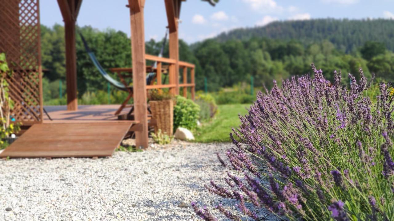 Domki Sowi Kamien Lomnica  Esterno foto