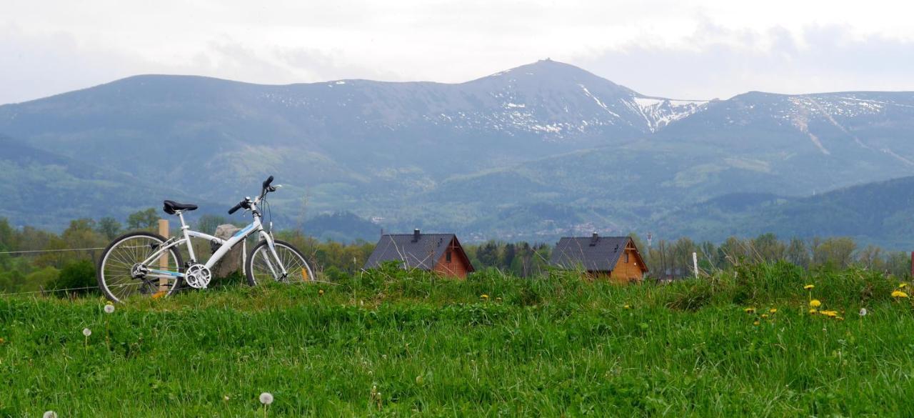 Domki Sowi Kamien Lomnica  Esterno foto