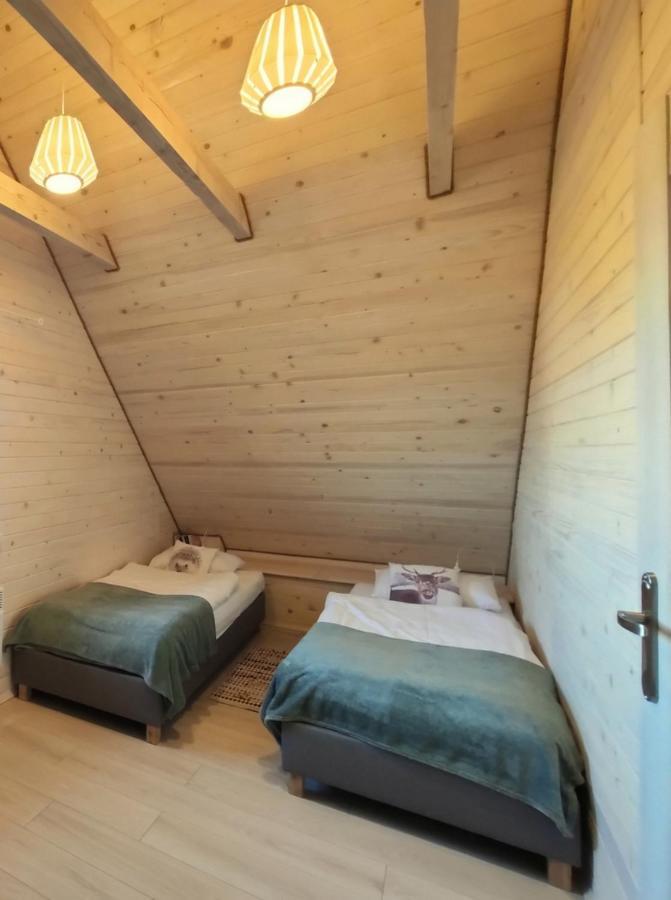 Domki Sowi Kamien Lomnica  Esterno foto