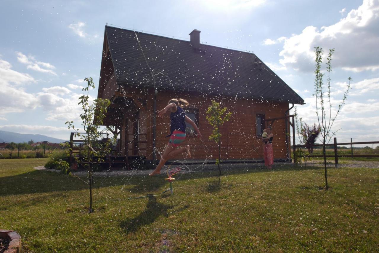 Domki Sowi Kamien Lomnica  Esterno foto