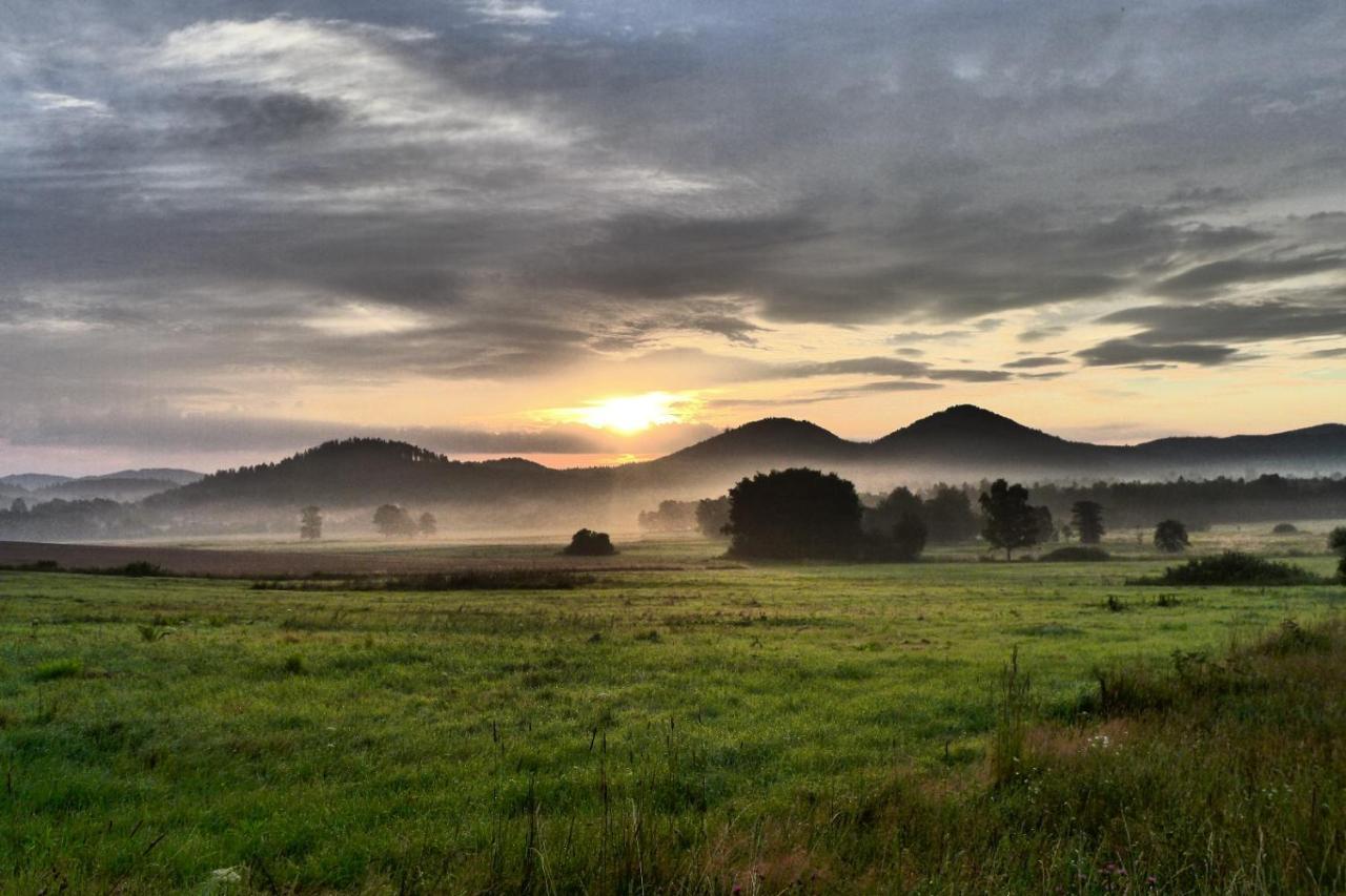 Domki Sowi Kamien Lomnica  Esterno foto