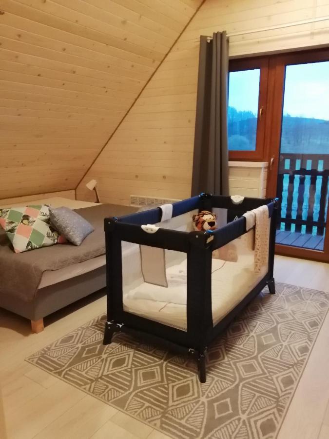 Domki Sowi Kamien Lomnica  Esterno foto
