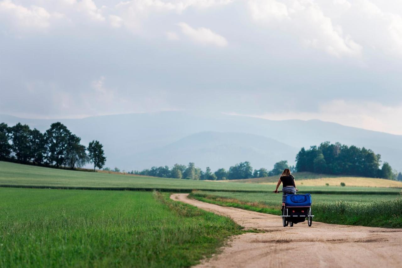 Domki Sowi Kamien Lomnica  Esterno foto