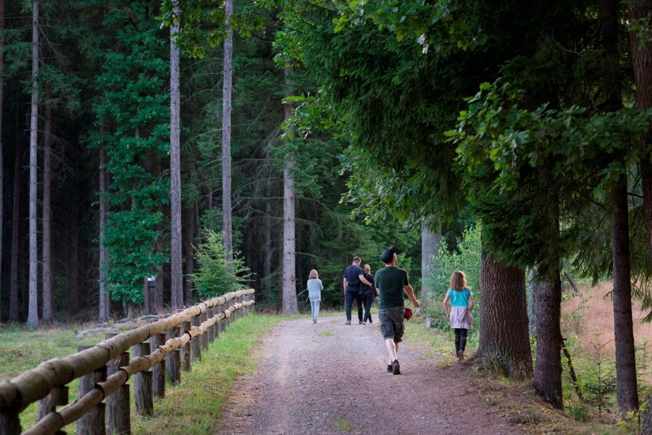 Domki Sowi Kamien Lomnica  Esterno foto