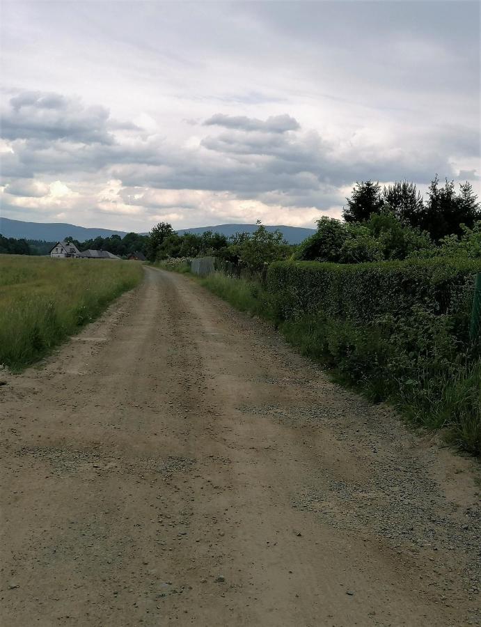 Domki Sowi Kamien Lomnica  Esterno foto