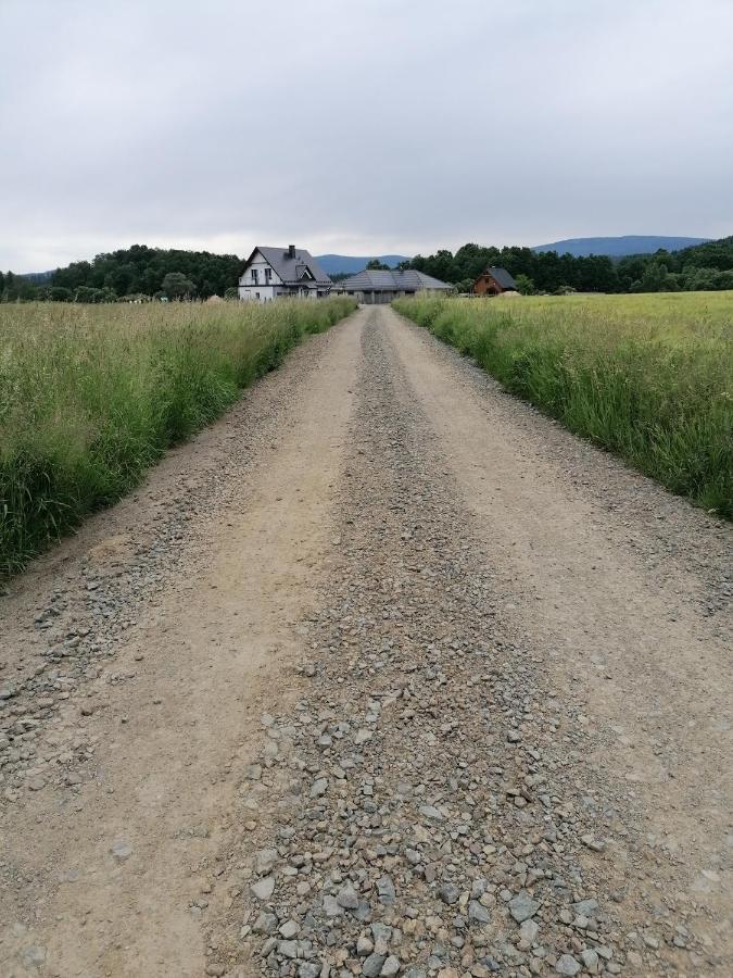 Domki Sowi Kamien Lomnica  Esterno foto