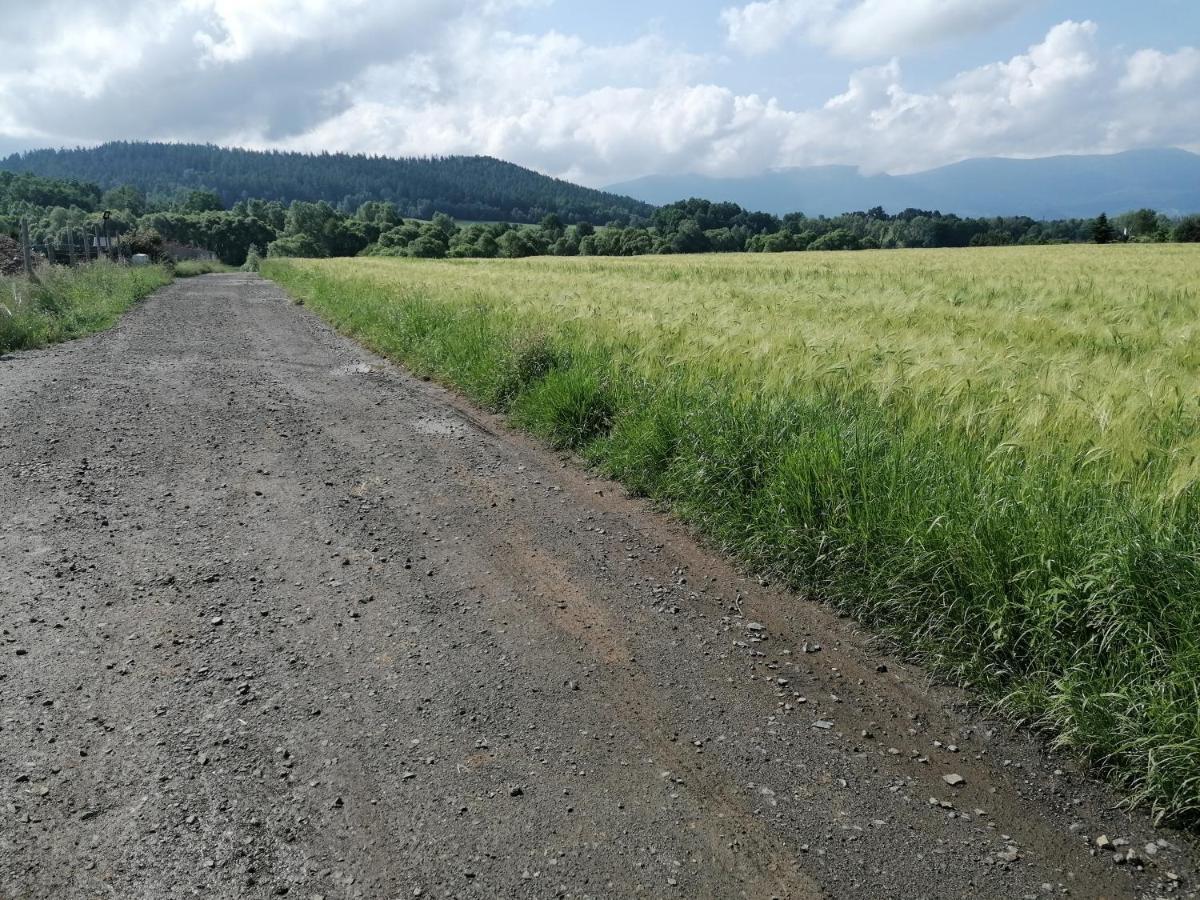 Domki Sowi Kamien Lomnica  Esterno foto